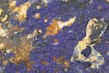 Azurite and Malachite Association on Matrix - Morocco #217776-1